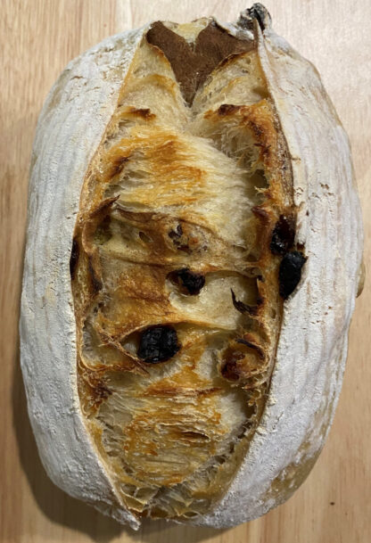 Fresh homemade Sourdough Cinnamon & Raisin Bread