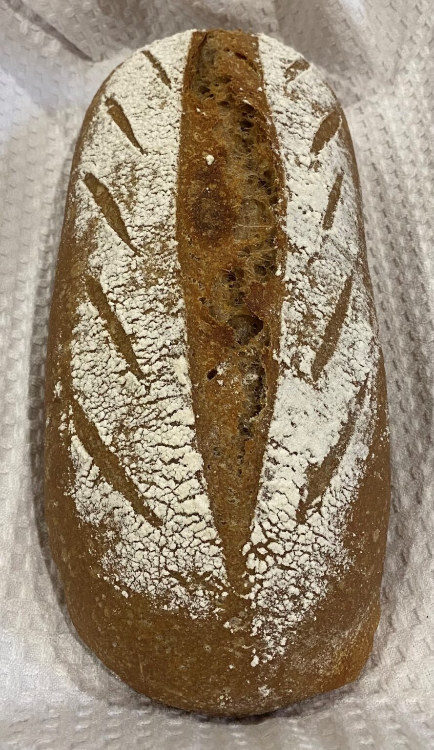 Organic Sourdough Sandwich Loaf - Miss Monica Artisan Sourdough