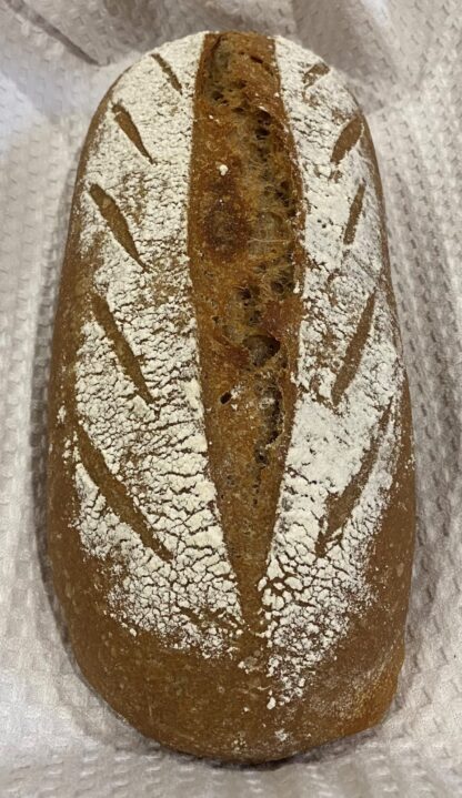 Fresh Homemade Organic Wheat Sourdough